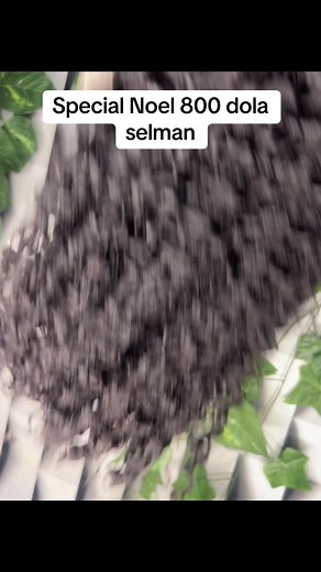 Application Lace and Makeup #Wigstylist #lacewig #laceinstall #sendoohairmakeup #lace #makeupartist #Nœl #curlywig @𝐒𝐇𝐄𝐋𝐋𝐀 @Zwingnounours 02 @sendoo🔥❤