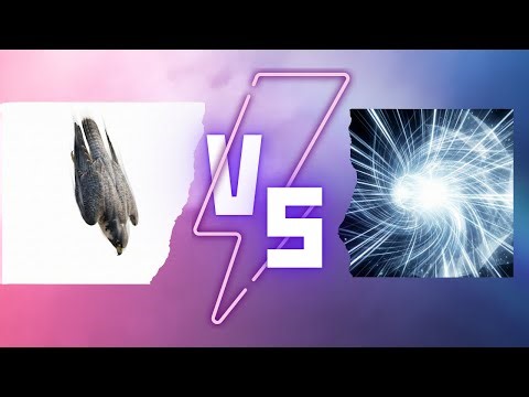 Speed Comparison: Fastest Things in the Universe (3D Animation) ⚡