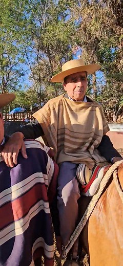 Terceros campeones del rodeo organizado por el club de huasos Los Alamos. Franco Larrondo Contreras y Jaime Contreras del Club Unión Paso Los Andes. Collera completa 🌭 | Asociación de Clubes de Huasos San Esteban