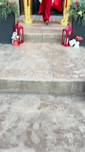 94 reactions · 12 shares | Holiday project season is officially here...