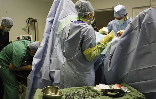 Colic: a twisted gut - Horse & Hound