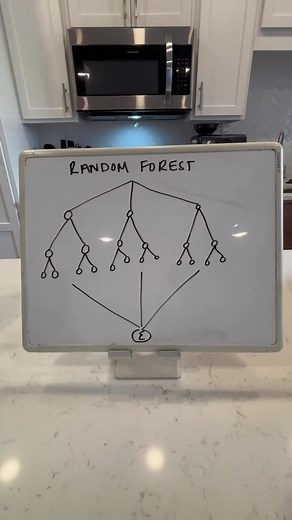 Random Forest Algorithm 🌳#machinelearning #data #datascience #engineering #womeninstem #mlalgorithms