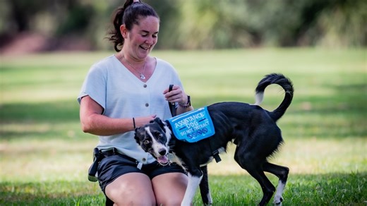 Qantas agrees to change assistance dog processes after being sued for disability discrimination