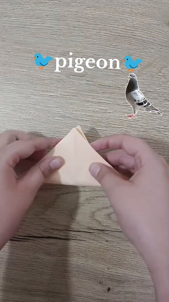 Easy Pigeon Origami Tutorial for Beginners