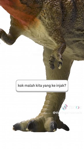 Buat yang belum lesson, sebentar lagi aku otw naik dinosaurus 🫵🏻😠 #duolingo #duolingoindonesia sound by: @3D Edukasi