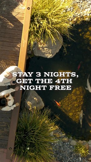 2.8K views | Stay 3 nights at the newly reimagined Paso Robles Inn and your 4th night is free. Lounge under heritage oaks and sip cocktails fireside. | Paso Robles Inn | Facebook