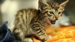 30 reactions · 4 comments | Here's our first video for More than...