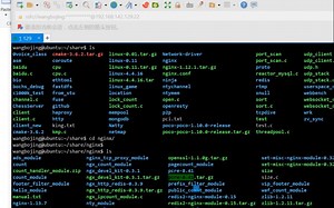 nginx中handler/upstream/filter模块详解及nginx模块开发实现