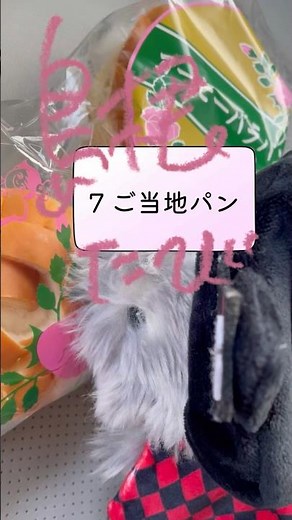 【モフリン】モフリン‘oli.島根たび7ご当地パン #モフリン #旅 #バラパン