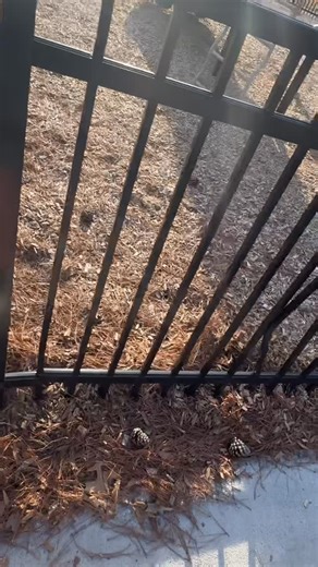 Gabe Perry on Instagram: "Them bikes ah leave u pink‼️🤣"