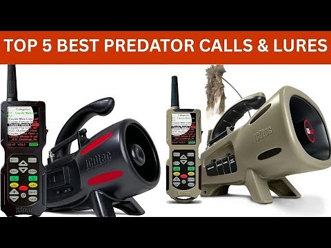 Top 5 Best Predator Calls & Lures | Ultimate Hunting Gear 2025