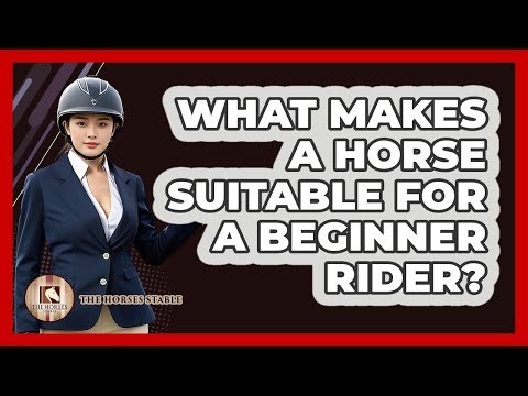 What Makes A Horse Suitable For A Beginner Rider? - The Horses Stable
