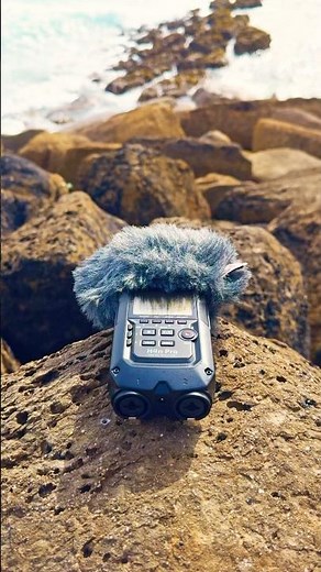 Exploring seaside ambient sounds 🌊 #oceansounds