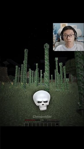 Minecraft Creeper Moment