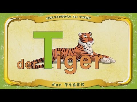 Multipedia der Tiere. Buchstabe T - der Tiger