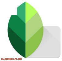 Snapseed на ПК - скачать бесплатно для компьютера