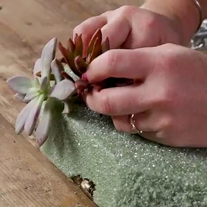 398K views · 341 reactions | Use embroidery hoops, real or faux succulents, and holiday accents for a fresh and fun take on the traditional Christmas wreath. If you use real succulents, remove them from the foam when the season is over and plant them in a dish garden Get the full how-to: https://trib.al/WXRHdWf | Made by Me | Facebook