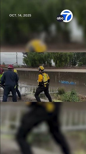 Stranded dog rescued from SoCal flood channel