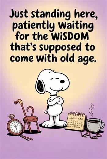 Exploring the World of Snoopy Collections