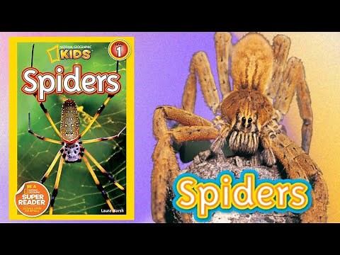 National Geographic Readers Spiders | read aloud science book