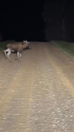 Man uzbruka gumijlūpji?Izvairijos ar #optibeam #pure LED papildlukturiem | LEDakcijas.lv specializēts LED apgaismojuma veikals/V-TAC