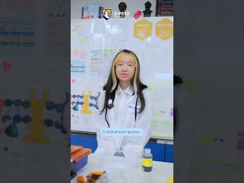 AP Biology Class | D-PREP Secondary