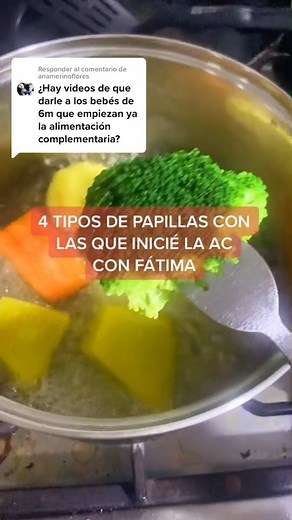 4 Tipos de papillas ¿Quieres consentir a tus pequeños?4 Tipos de papillas 👩‍👧, mira el link de mi biografía, consiéntelos y cuídalos mientas se divierten 🥰💚 . . Creditos:@Mamá de Fatmar . . #soymama #bebes #mamas#mamaprimeriza #miprimerbebe | Tips para bebes