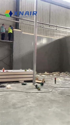 How is a commercial cold room actually designed and built?#coldstorage #coldroom