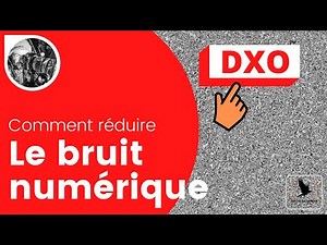 Je teste le traitement du bruit chez DXO !
