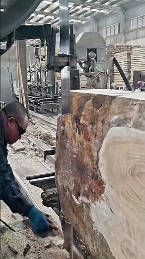 Dried camphor tree cutting process- Good tools for everyone to share