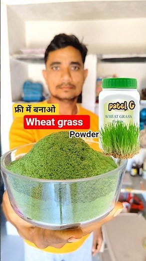 🌿Wheat grass powder #shorts #food #wheatgrass #wheatgrasspowder #minivlog