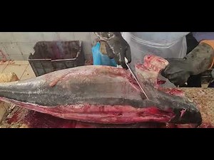 Biggest Fish Cutting Must Watch Skills Must Watch Fish Cutting Skills $150 Fish Cutting Skills
