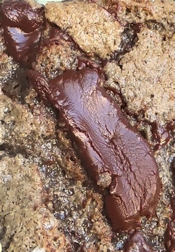 Those chocolate pools by @Wild West Chocolate in our lavender CCC are something ELSE 🤌 #chocolate #chocolatechipcookie #glutenfreebaking #bakingtiktok #veganbaking