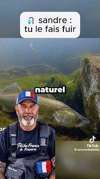 explication sur la peche du sandre
