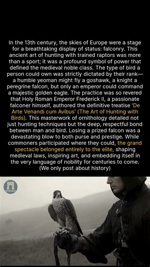 The ancient art of falconry once ruled the skies and medieval society. #history #medieval #historyfacts | Epochal
