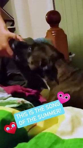 4.6M views · 78K reactions | Life finds a way! 藍年✨ | Try Not to Laugh | Facebook