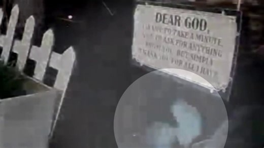 Ring camera in California captures alien-like figure