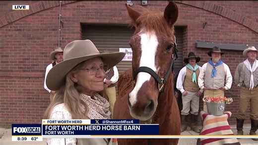 Fort Worth Herd horse celebrates retirement after 11 years