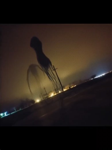 Unusual Creatures That Appear on Rainy Days