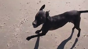 22K views · 551 reactions | There's nothing more to this post than a...