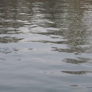 1.6K views | Thando's Story is a tragic reminder of the dangers of jumping or swimming in open water. Ahead of the warm weekend, please share this video with children and young people and have that conversation to ensure they know the risks. Highlighting the dangers and ensuring everyone is aware can help us prevent accidental drownings in open water  #ThandosStory #BeWaterAware #RespectTheWater | Derbyshire Fire & Rescue Service | Facebook