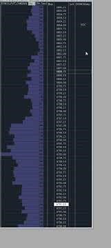 Sierra Chart DOM Notes - gcUserStudies Demo