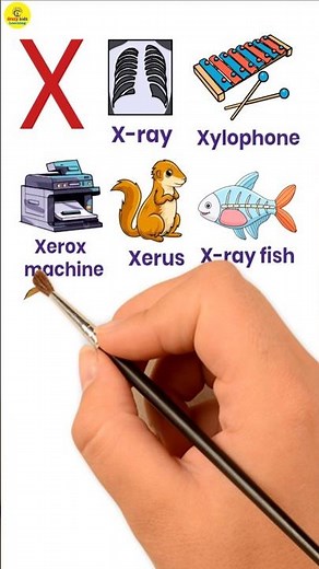 X alphabet words with pictures | alphabet words | Words start with X #alphabet #shorts #english
