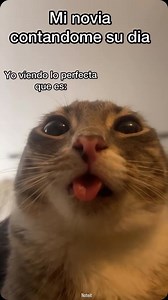 Perfecta 🤩 | Noteit Widget