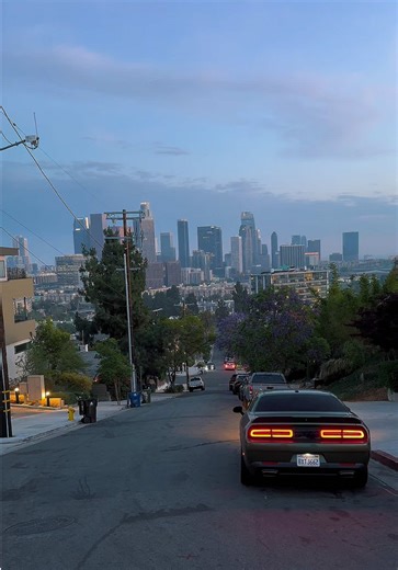 Exploring the Beauty of Westside Los Angeles