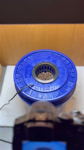 We’re back. This time we run an autoflower with NO dark periods. Subscribe to follow along…