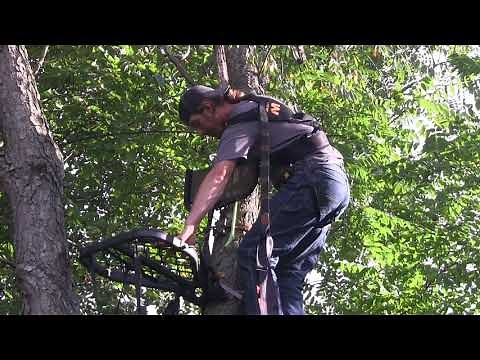 Millennium M7 Microlite Treestand : Hawk Helium 20" Climbing Sticks : How to use a hang & hunt setup