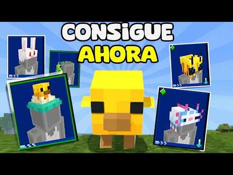 GET 5 NEW REWARDS EASILY AND QUICKLY FOR MINECRAFT BEDROCK