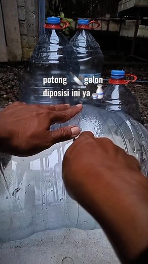 Solusi untuk kolam galon outdor yg sering kemasukan katak dan predaotor lainya.. #kolamgalon #guppy #mediaternakguppy #peternakguppy #galonlemineral #reelsvideo #tutorial | Yusuf Azaki