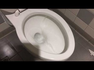 Macy’s Family restroom full shoot